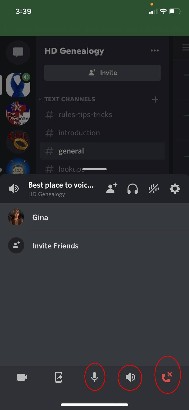 Discord voice chat screen