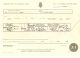 Minnie Pearce nee Rundle Death certificate